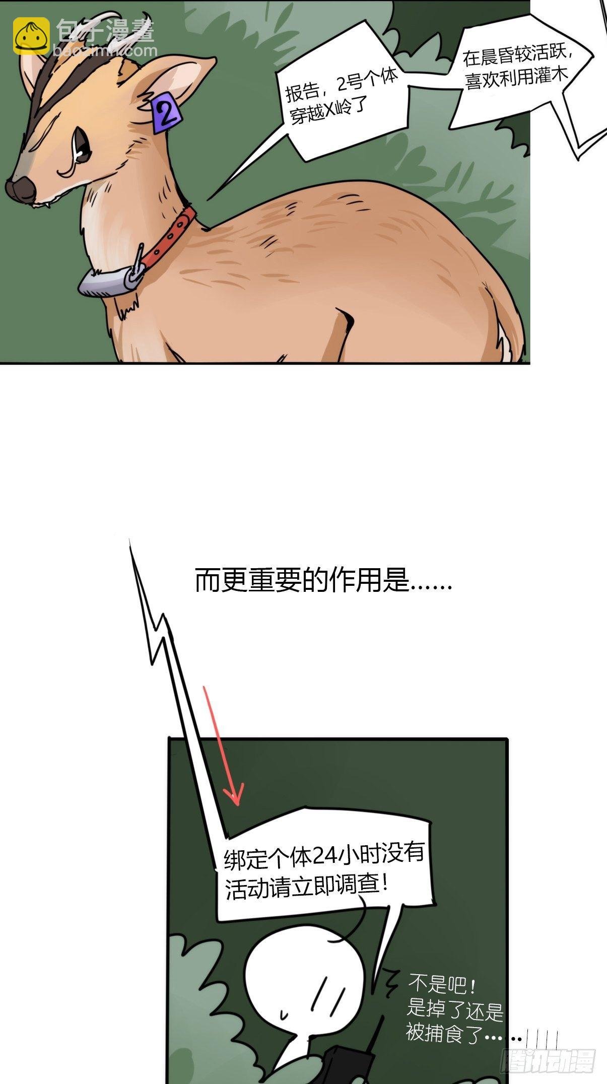 事业篇II：一堂种群恢复课04
