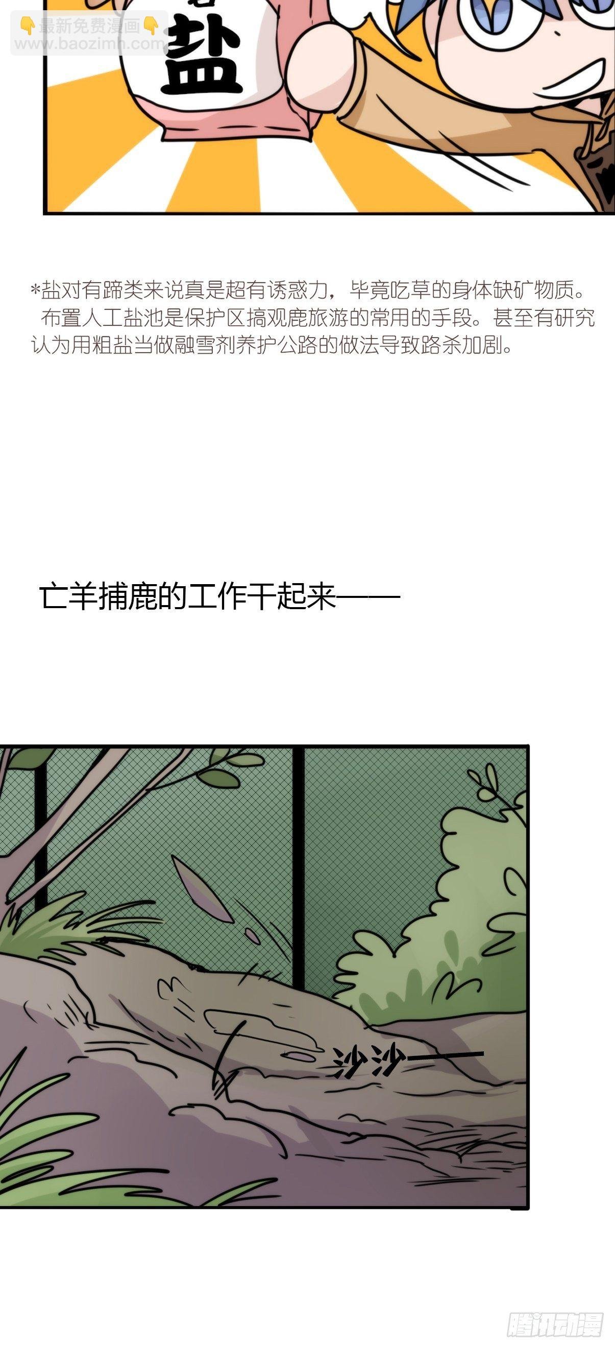 事业篇II：一堂种群恢复课04
