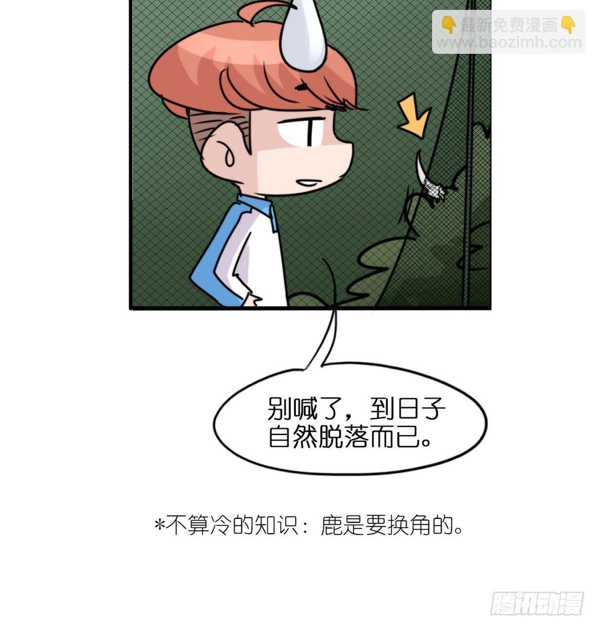 事业篇II：一堂种群恢复课04