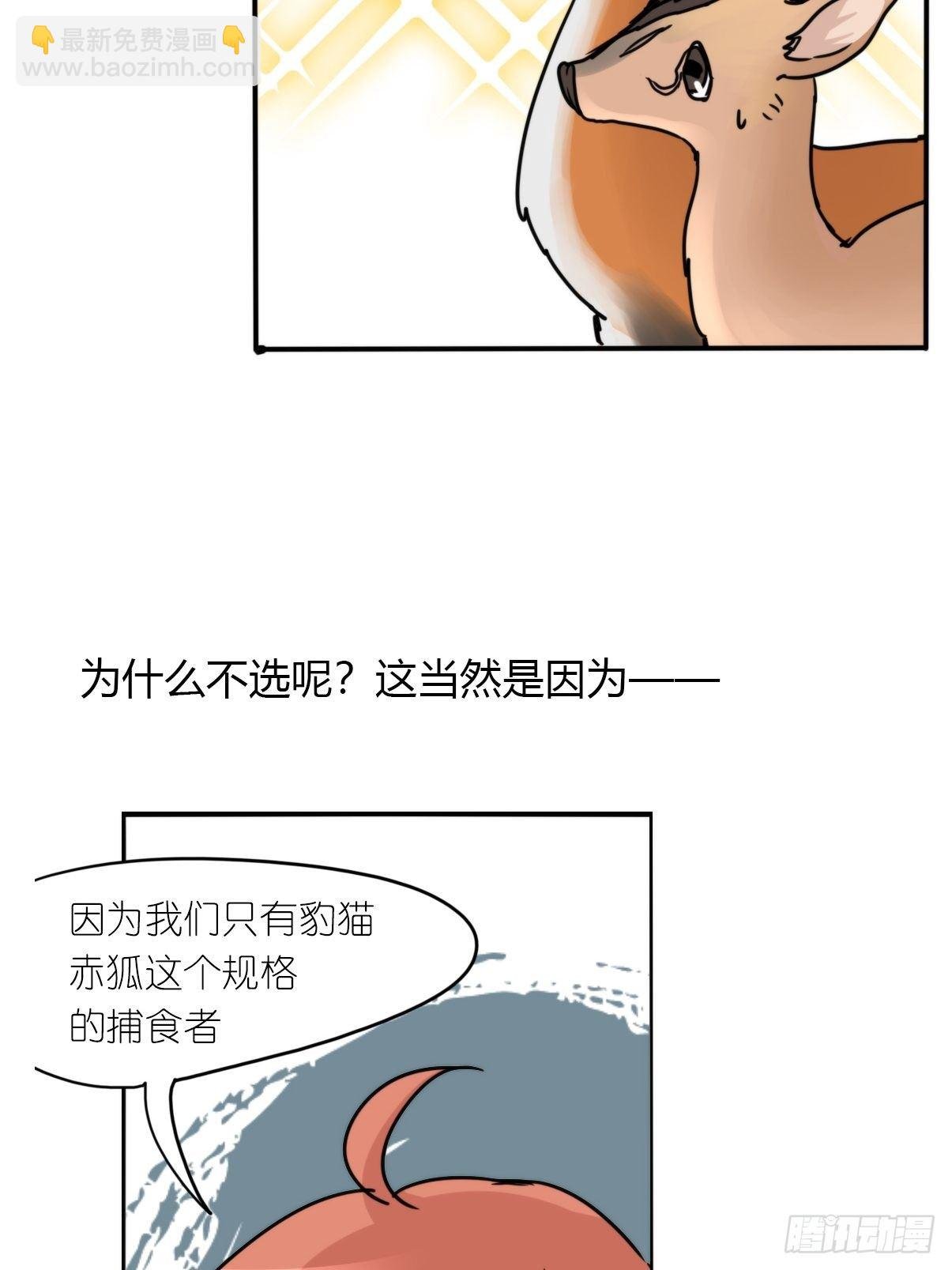 事业篇II：一堂种群恢复课04