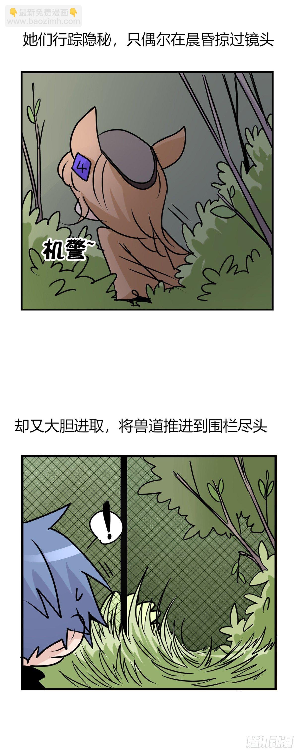 事业篇II：一堂种群恢复课05