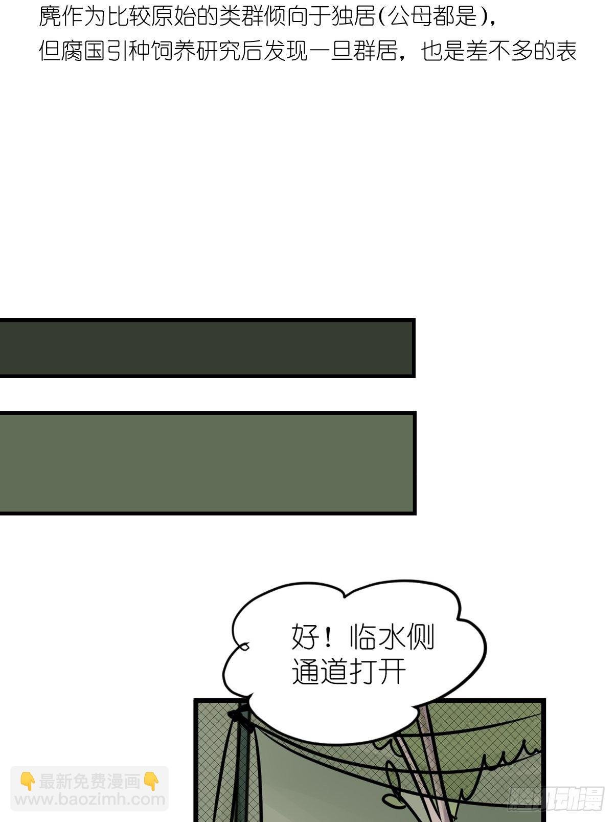事业篇II：一堂种群恢复课05