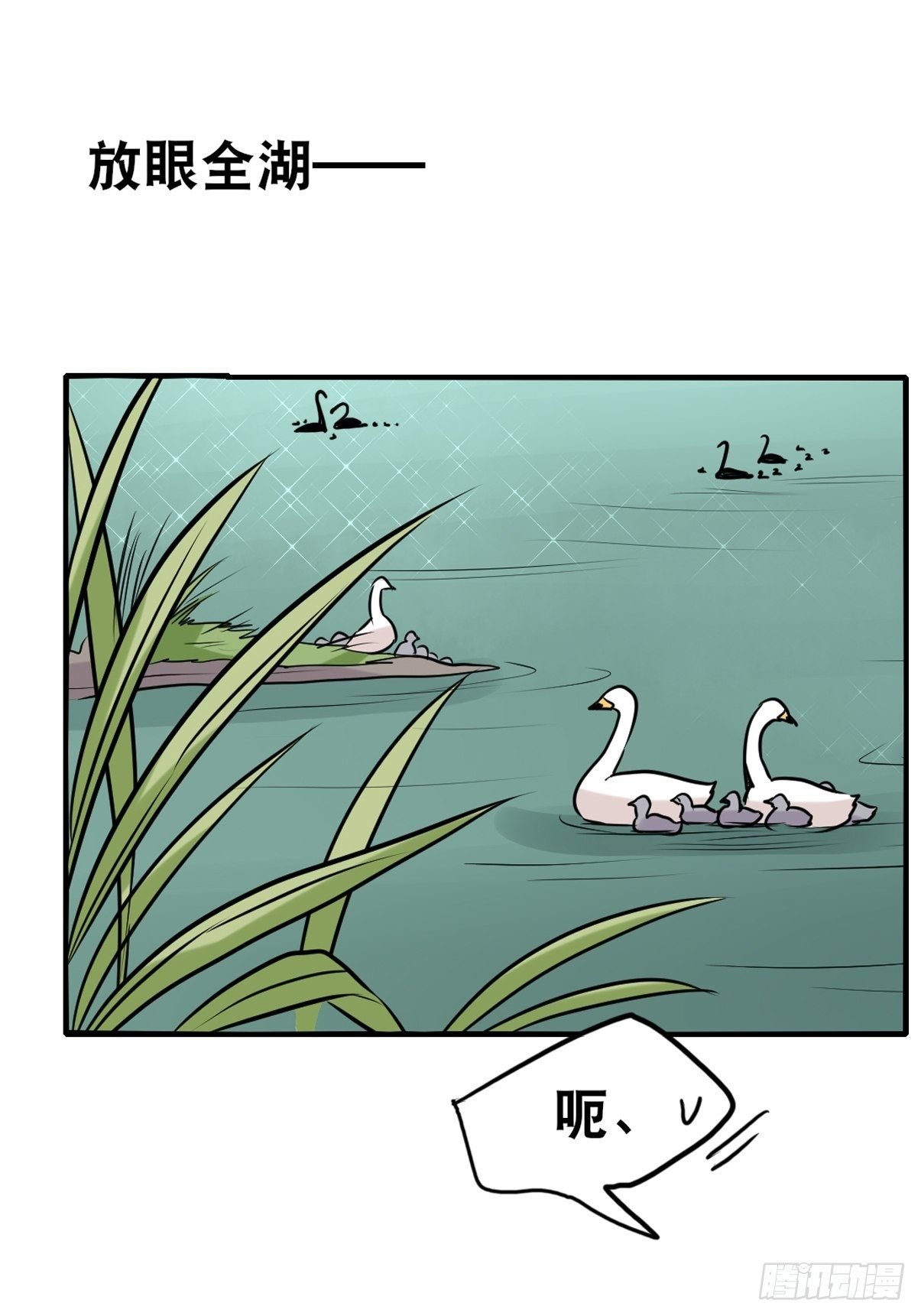 事业篇II：一堂种群恢复课05