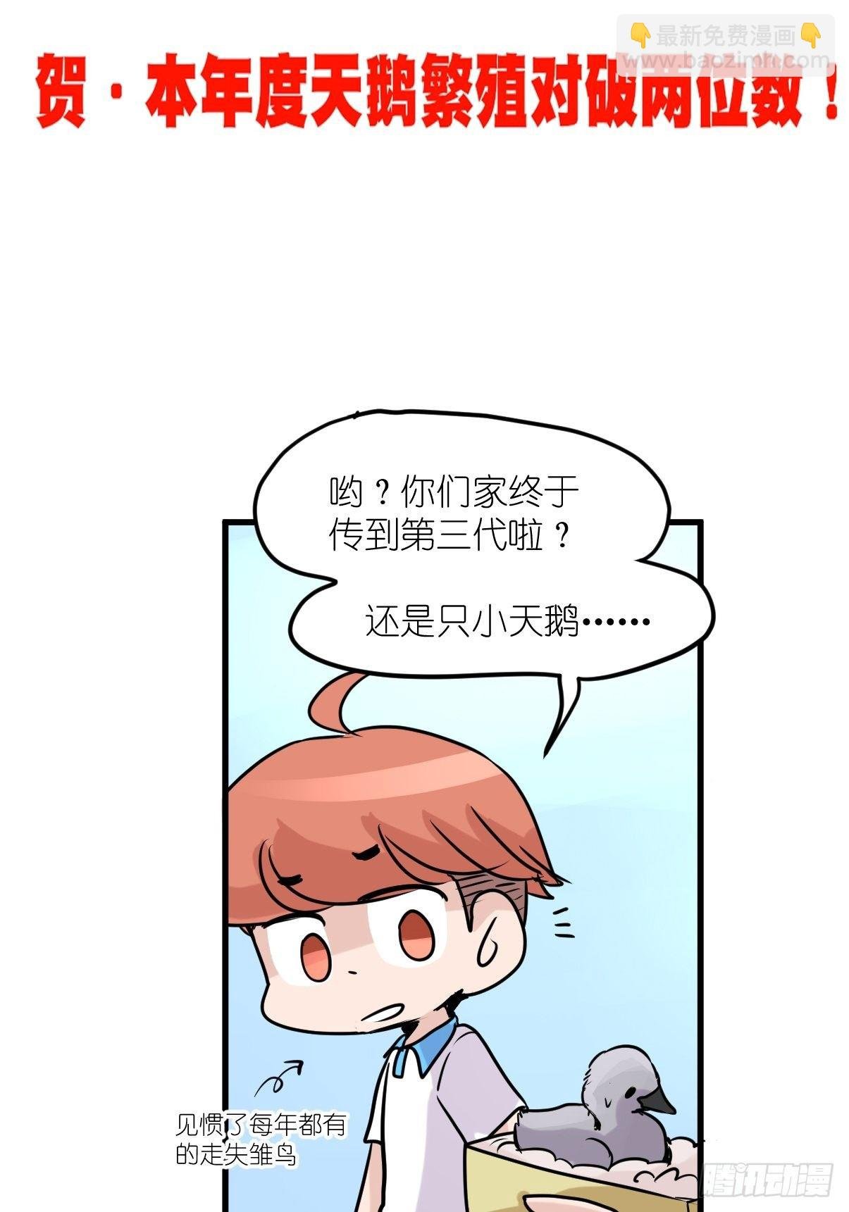 事业篇II：一堂种群恢复课05