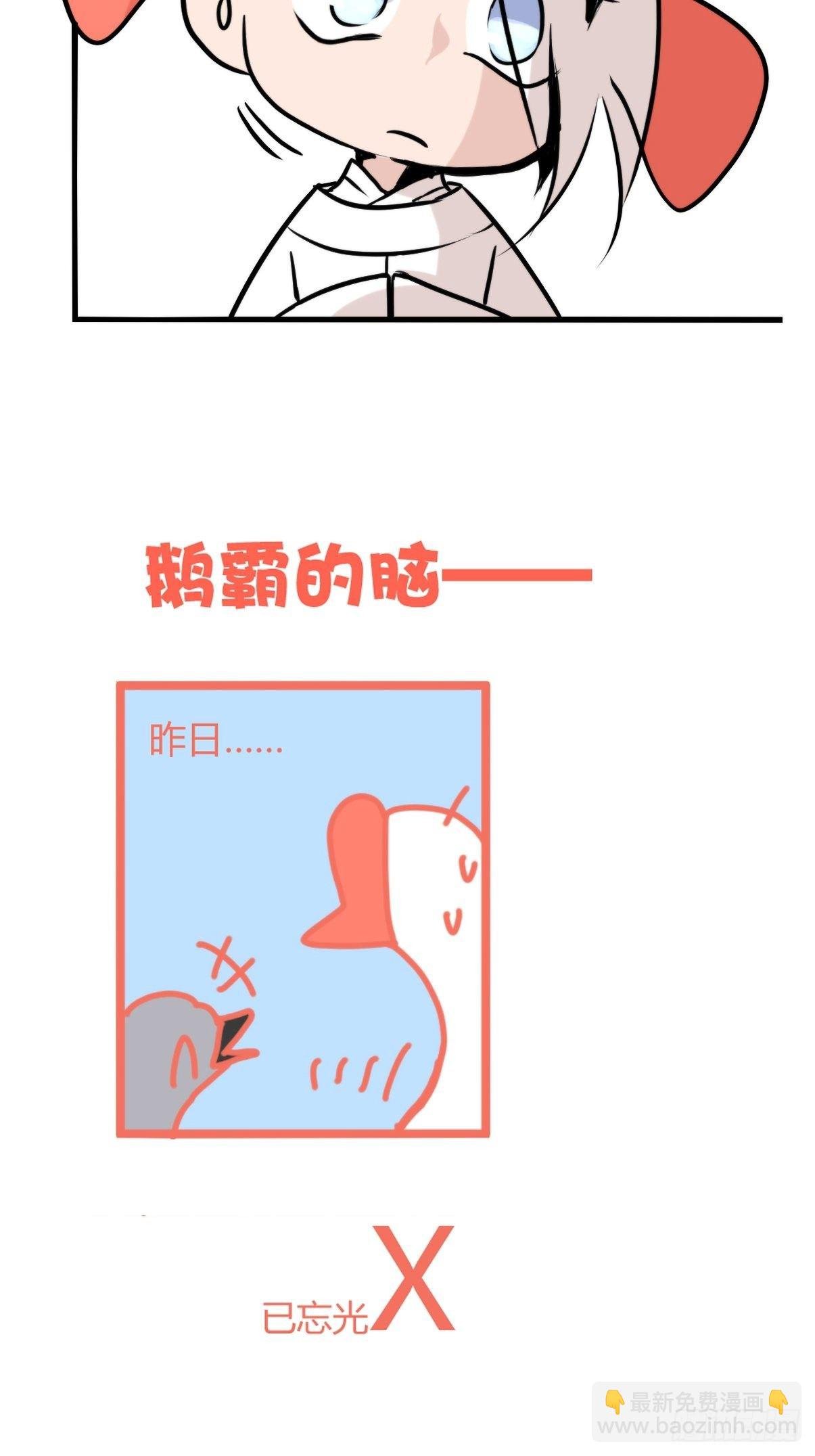 事业篇II：一堂种群恢复课07