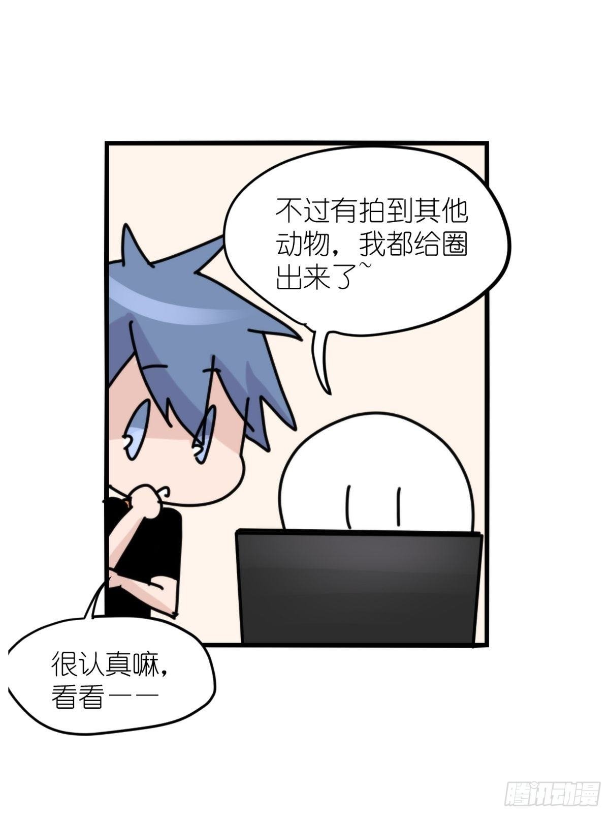 事业篇II：一堂种群恢复课07