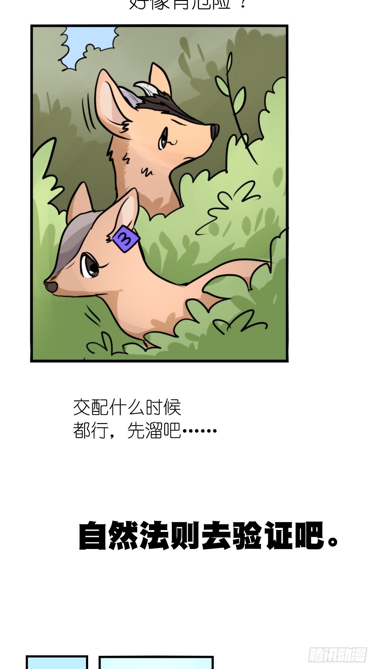 事业篇II：一堂种群恢复课07