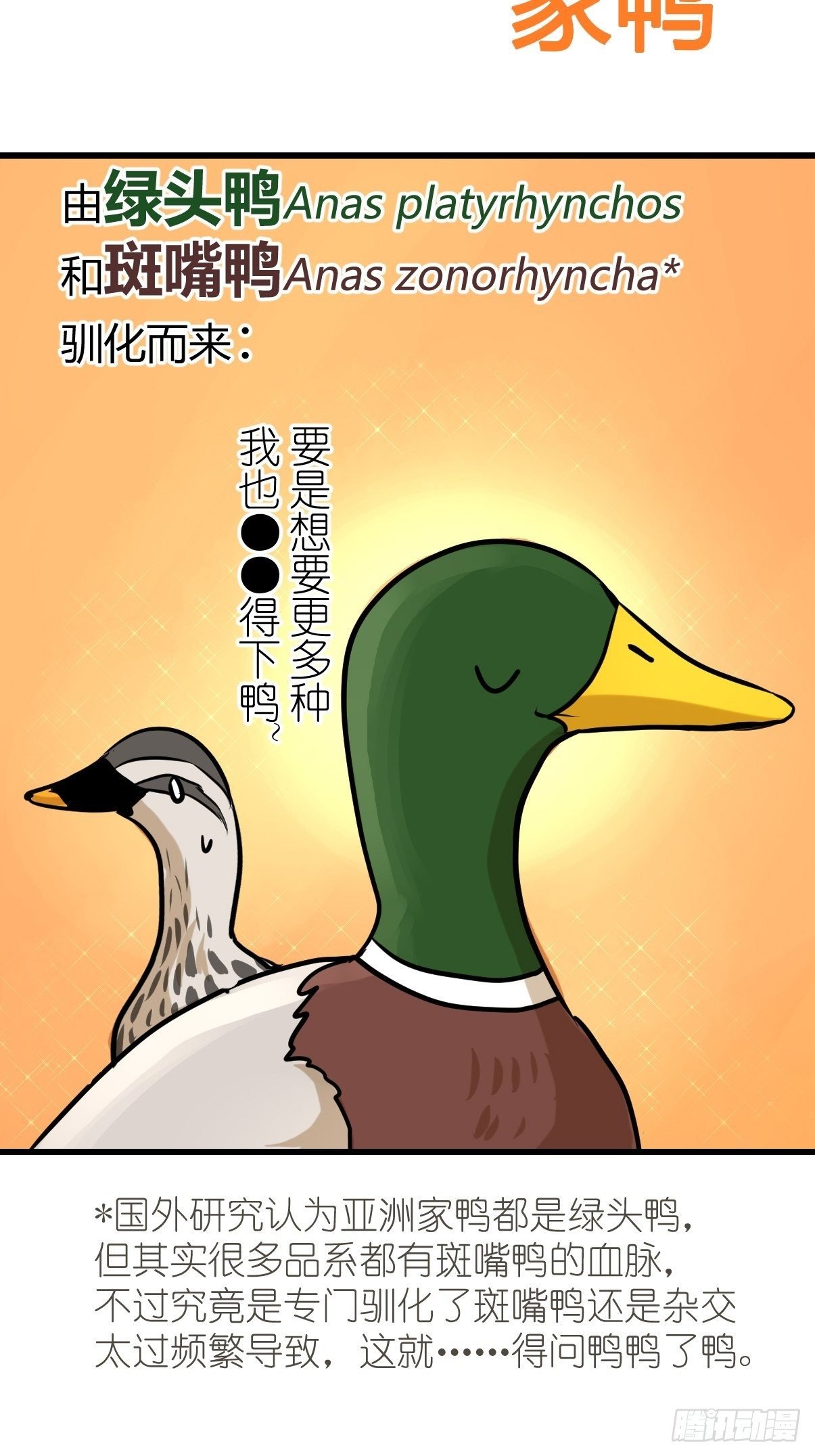 事业篇II：鸭鸭的奇妙冒险·上