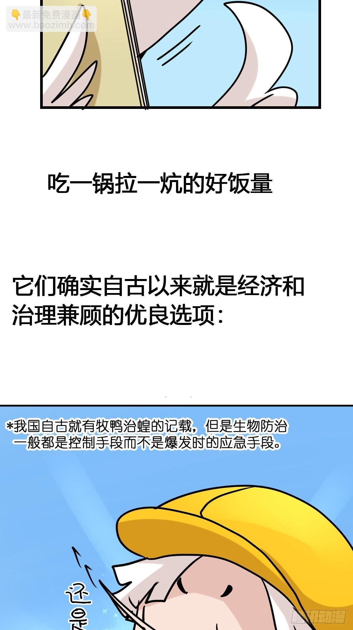 事业篇II：鸭鸭的奇妙冒险·上
