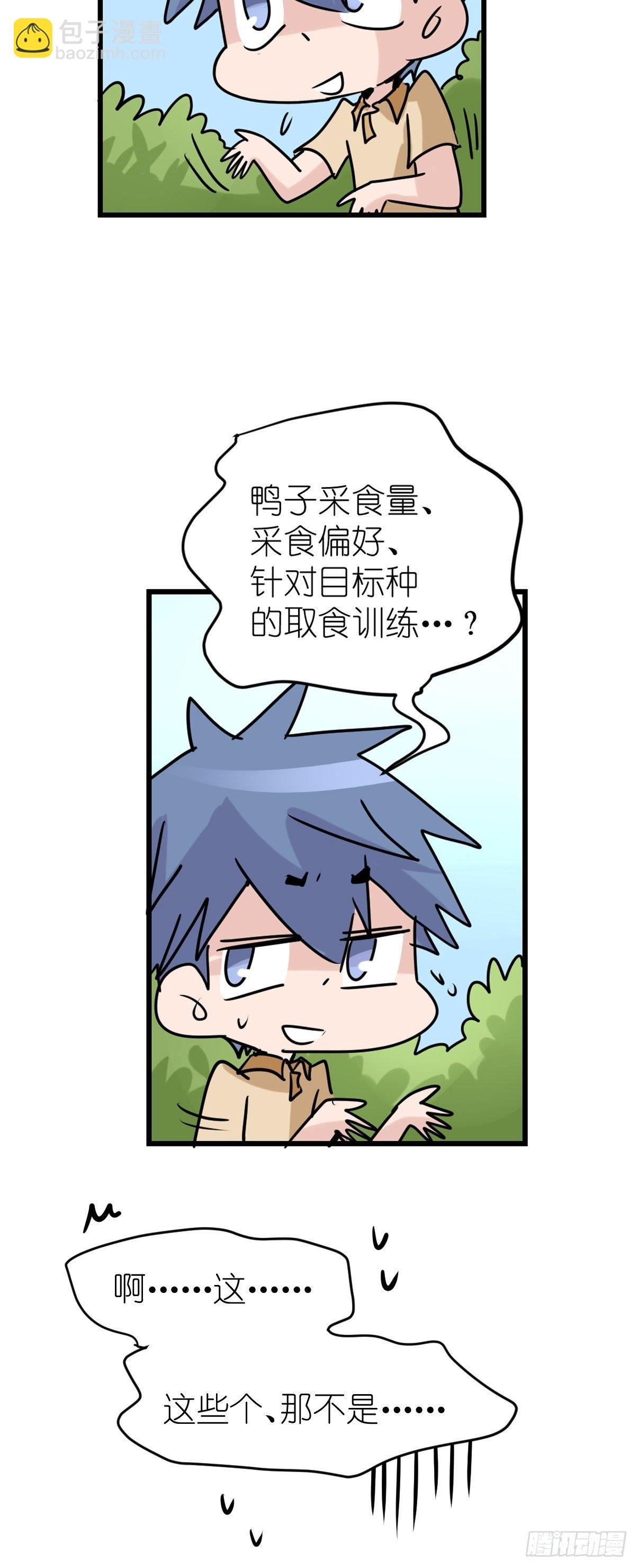 事业篇II：鸭鸭的奇妙冒险·上