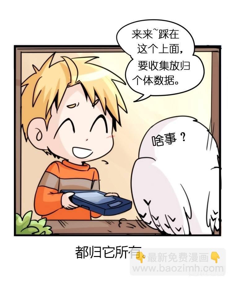 飞吧小少爷：真相大白之日