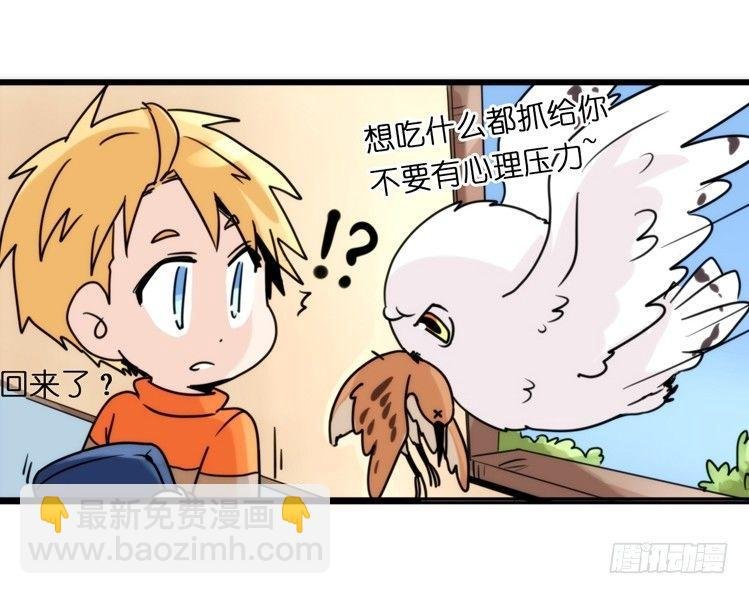 飞吧小少爷：真相大白之日