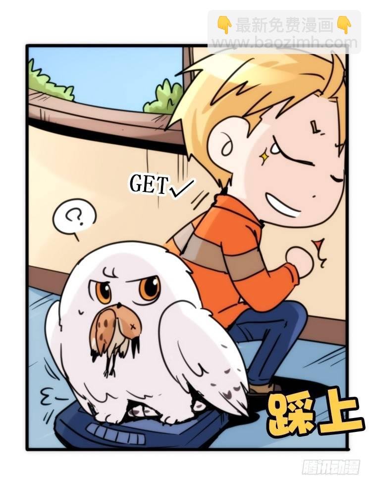 飞吧小少爷：真相大白之日