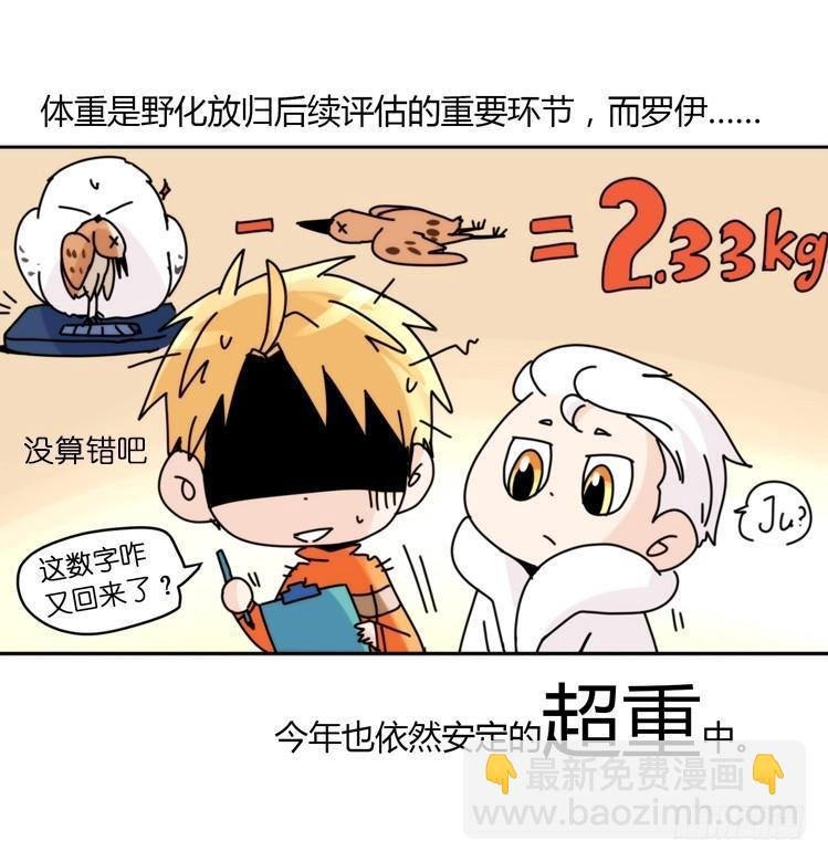 飞吧小少爷：真相大白之日