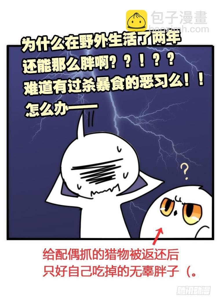 飞吧小少爷：真相大白之日