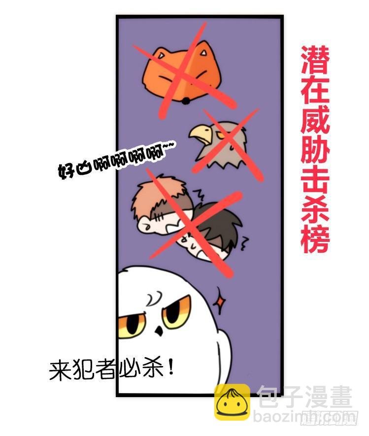 飞吧小少爷：真相大白之日