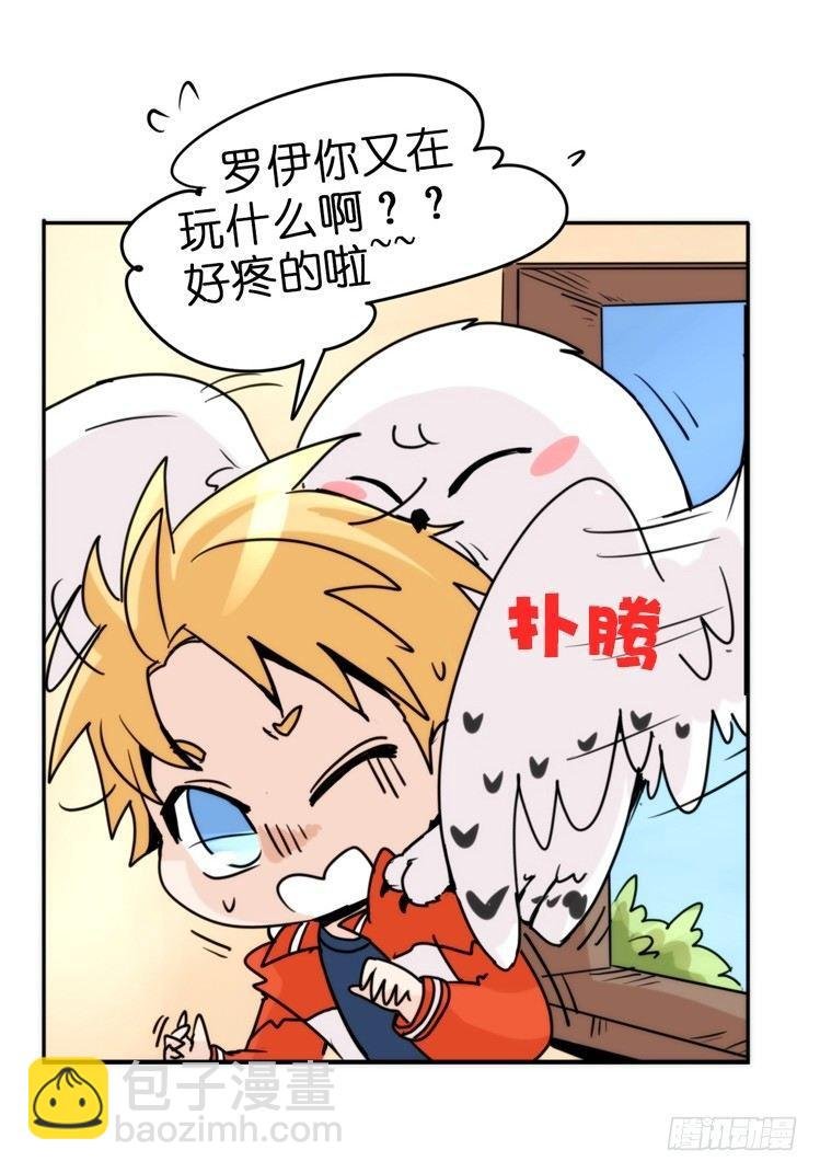 飞吧小少爷：真相大白之日