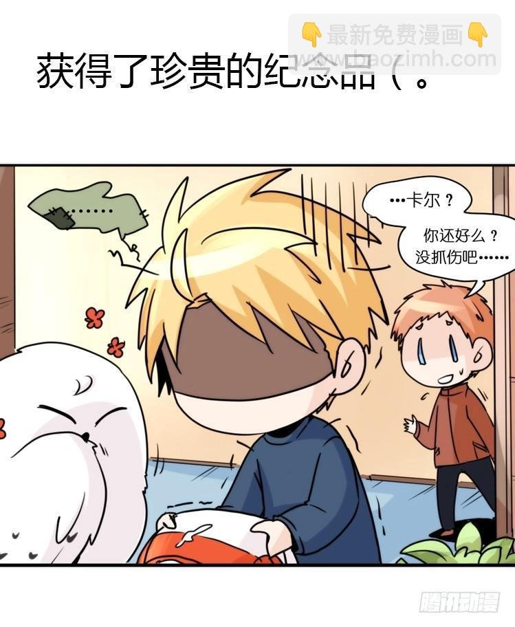 飞吧小少爷：真相大白之日