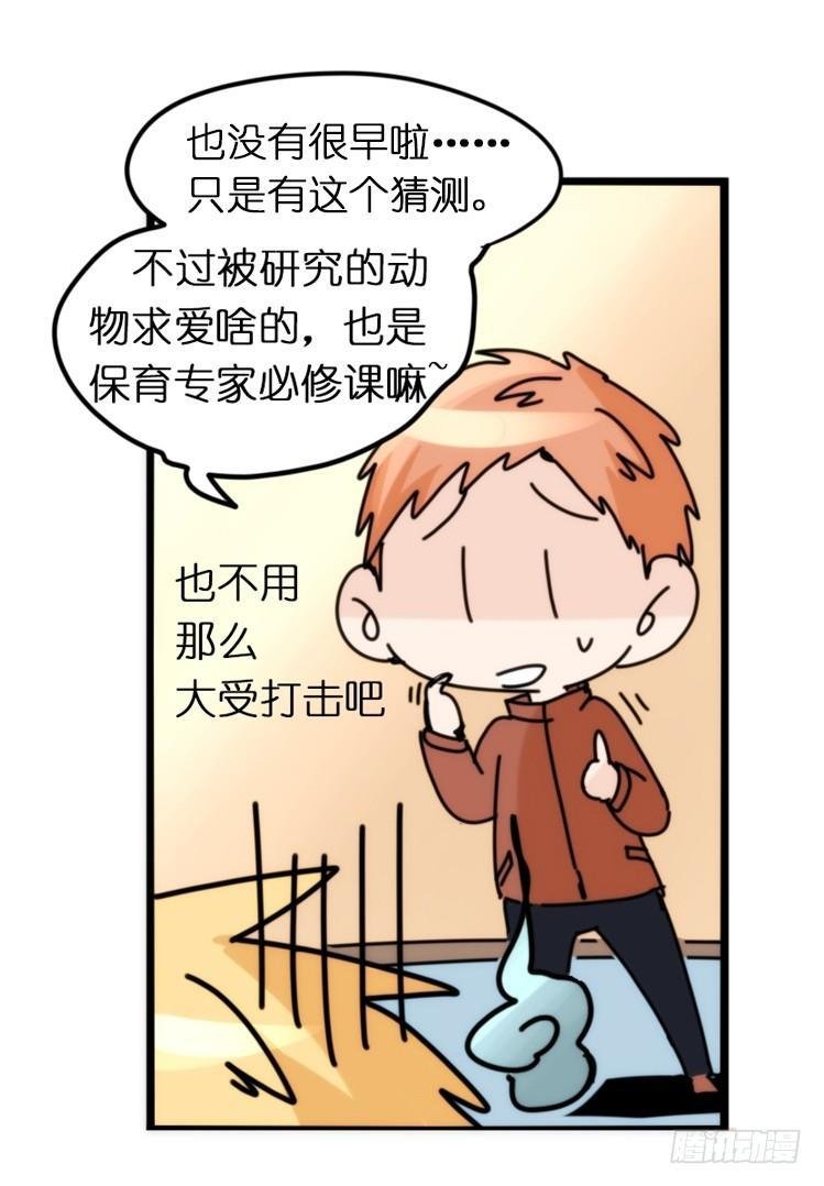 飞吧小少爷：真相大白之日