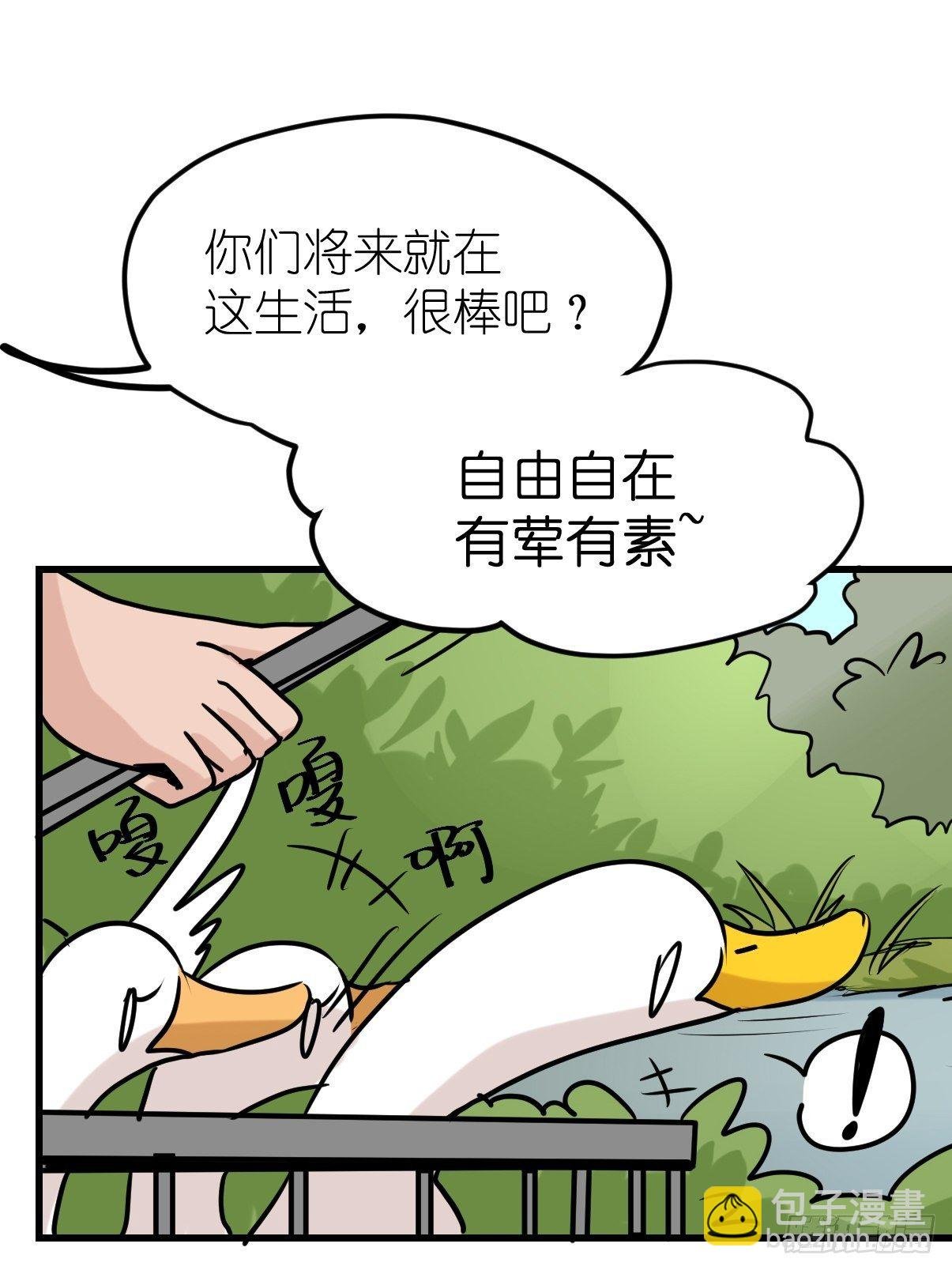 事业篇II：鸭鸭的奇妙冒险·中