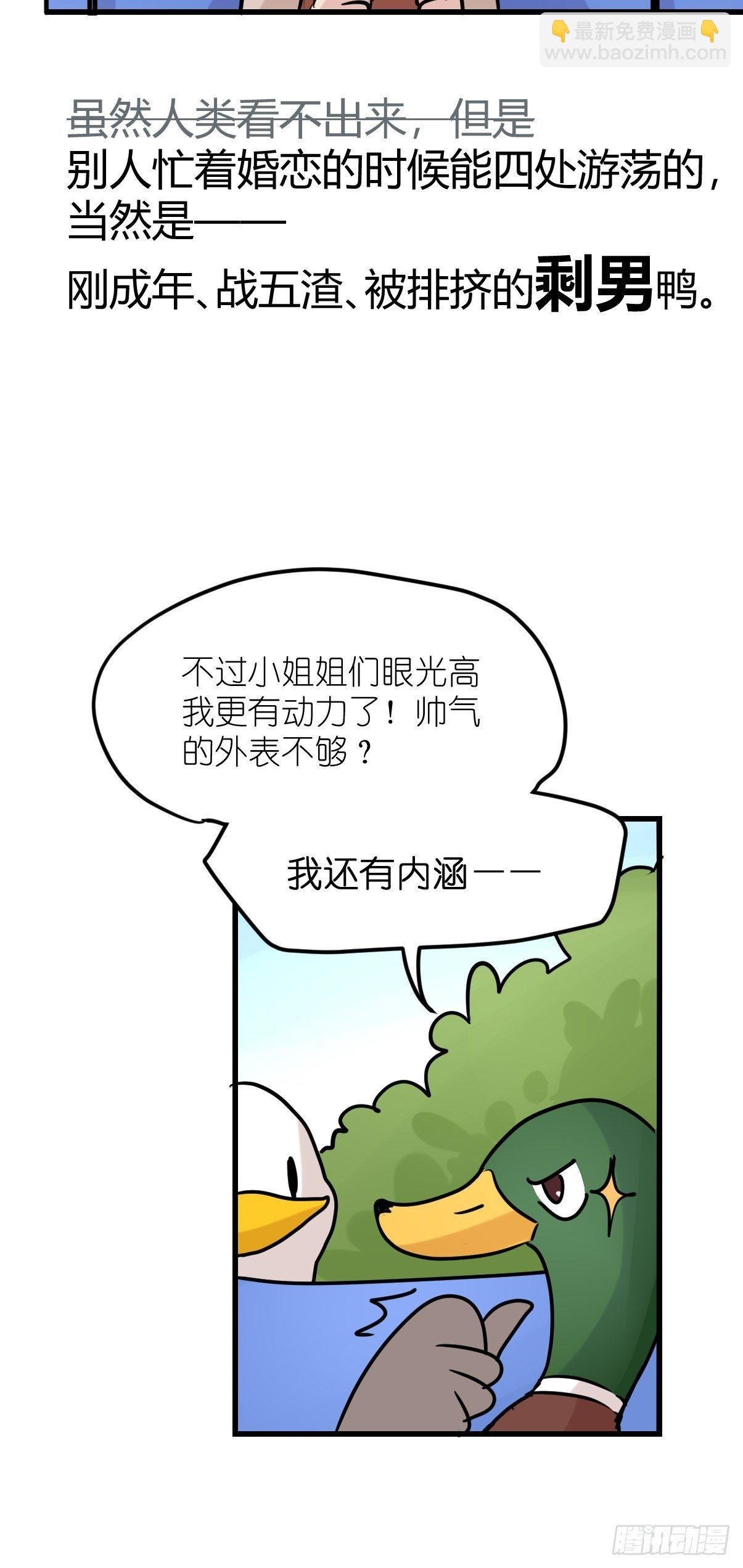 事业篇II：鸭鸭的奇妙冒险·下