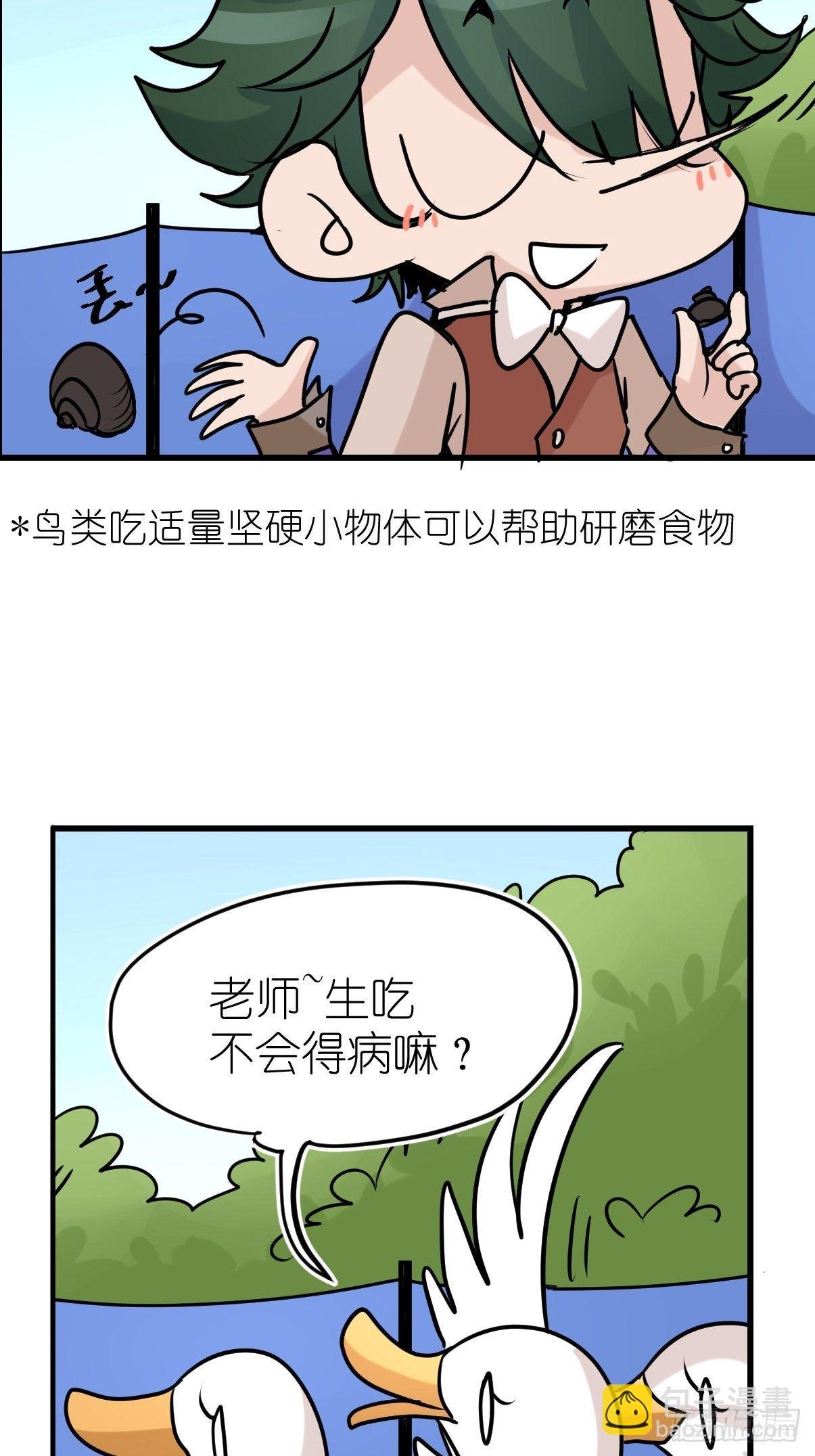 事业篇II：鸭鸭的奇妙冒险·下