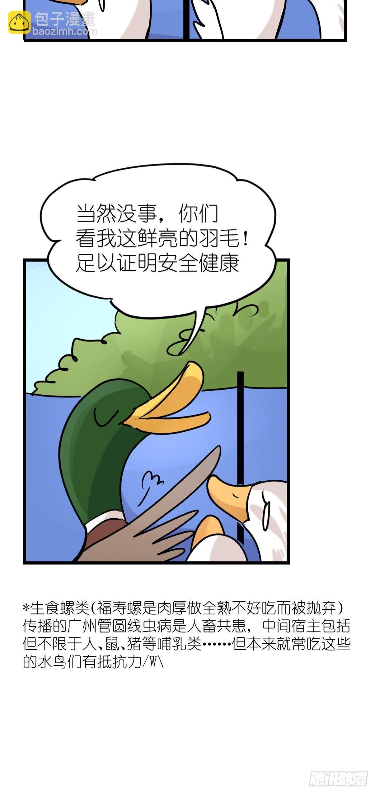 事业篇II：鸭鸭的奇妙冒险·下