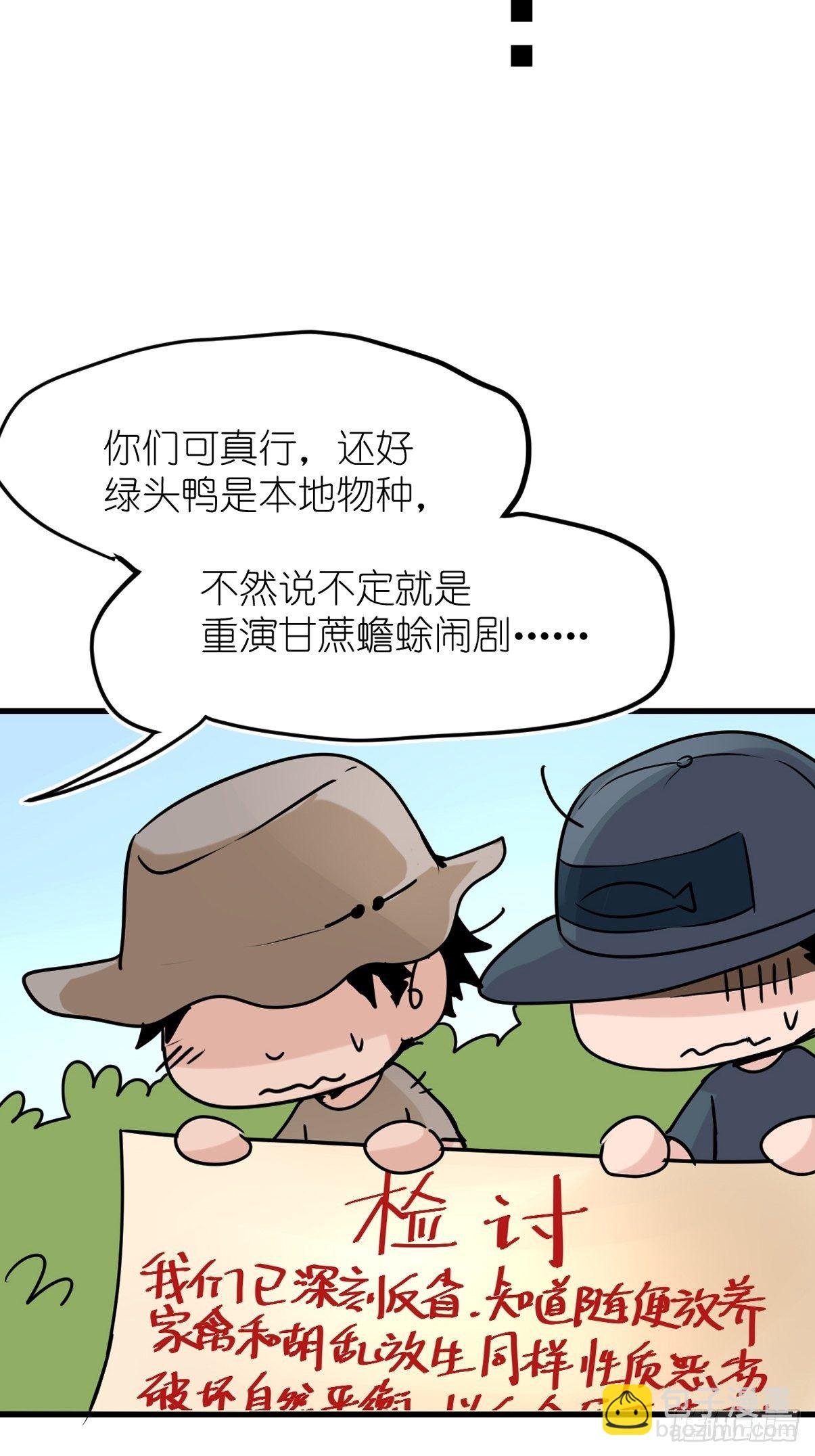 事业篇II：鸭鸭的奇妙冒险·下