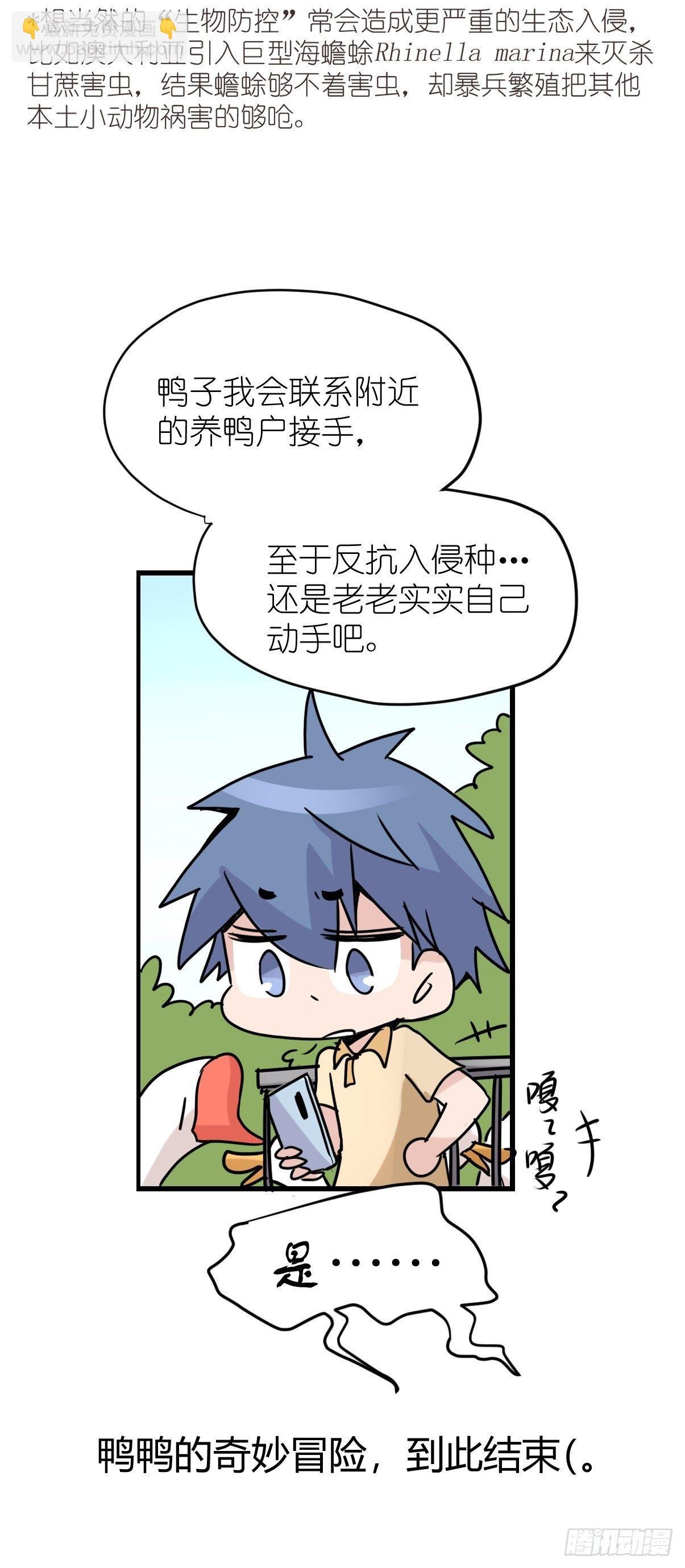 事业篇II：鸭鸭的奇妙冒险·下