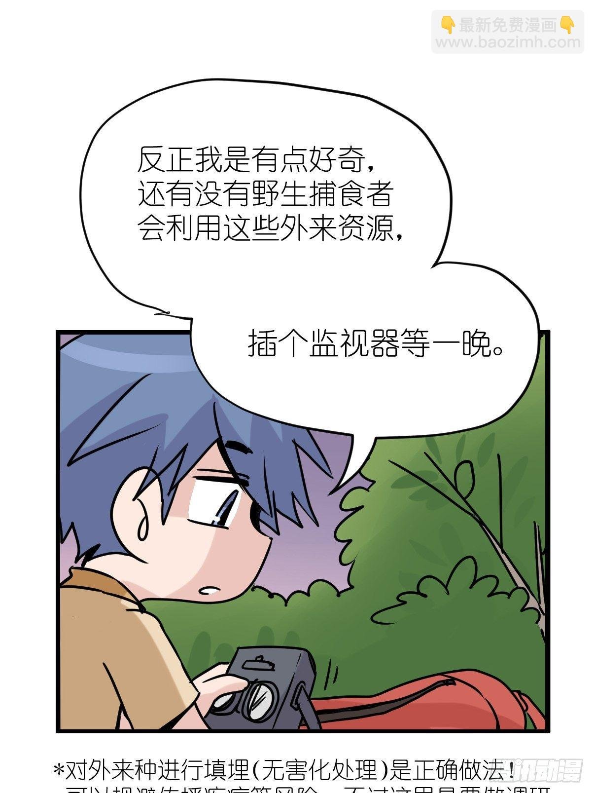 事业篇II：鸭鸭的奇妙冒险·下