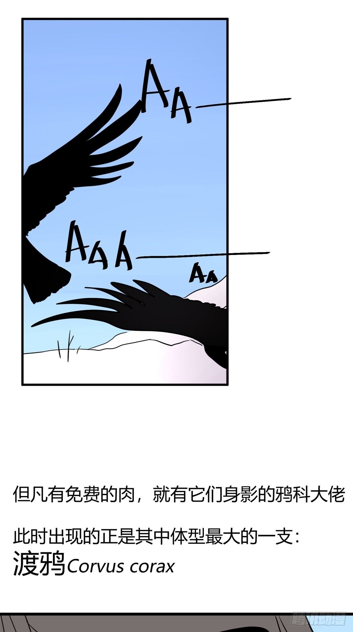 事业篇II：那个著名的故事……