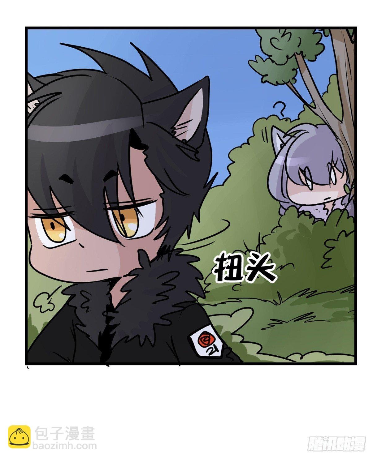 狼传奇：女主角的条件