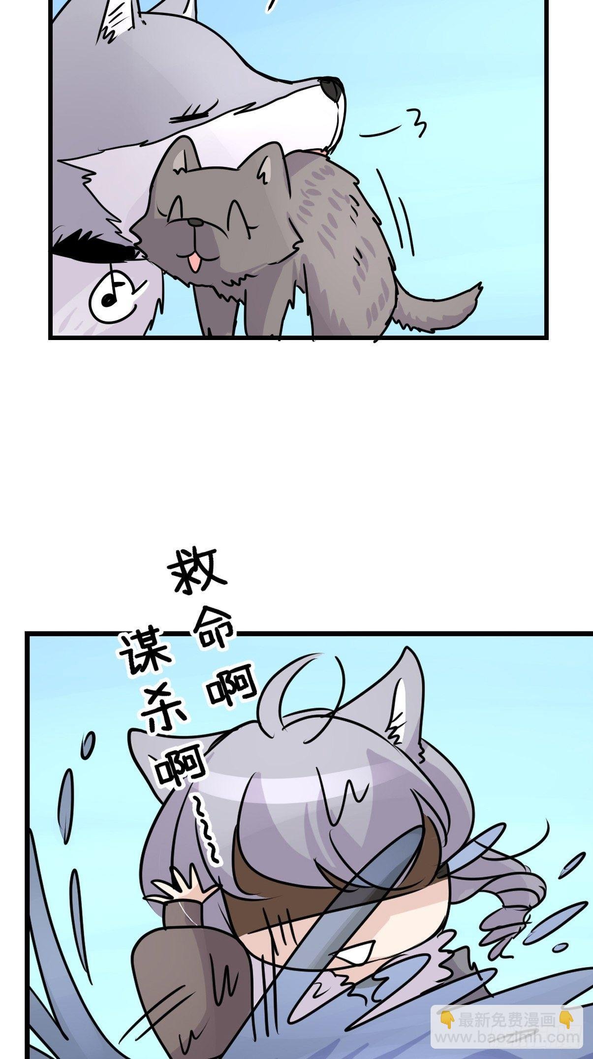 狼传奇：女主角的条件