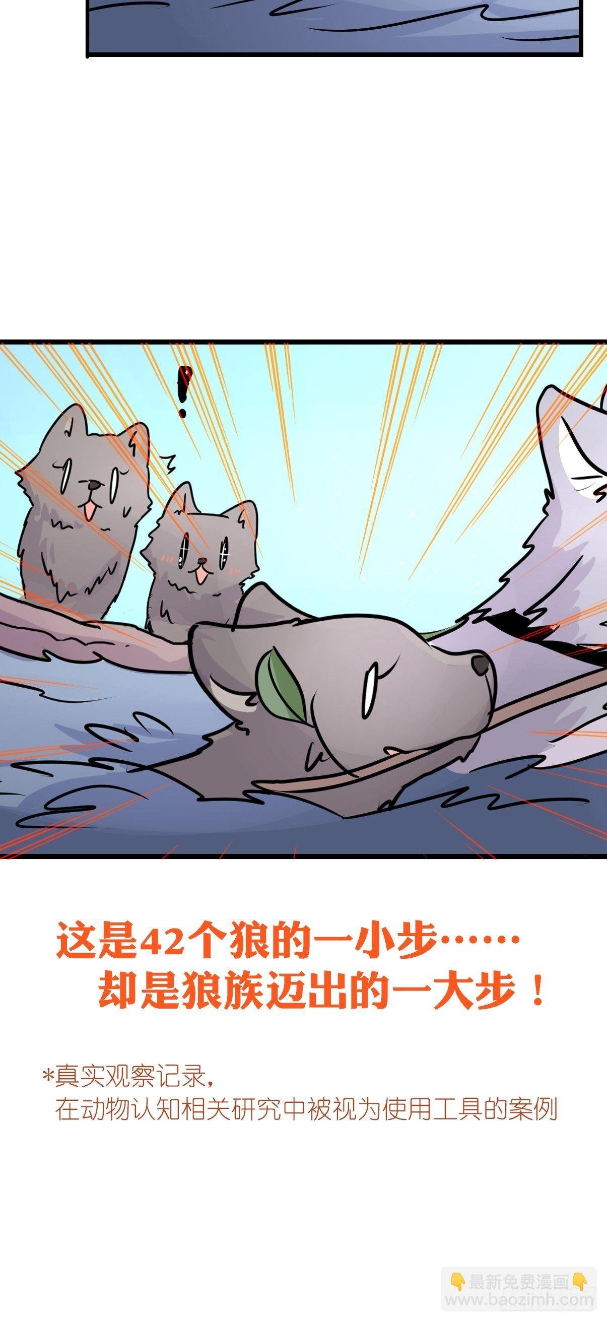 狼传奇：女主角的条件