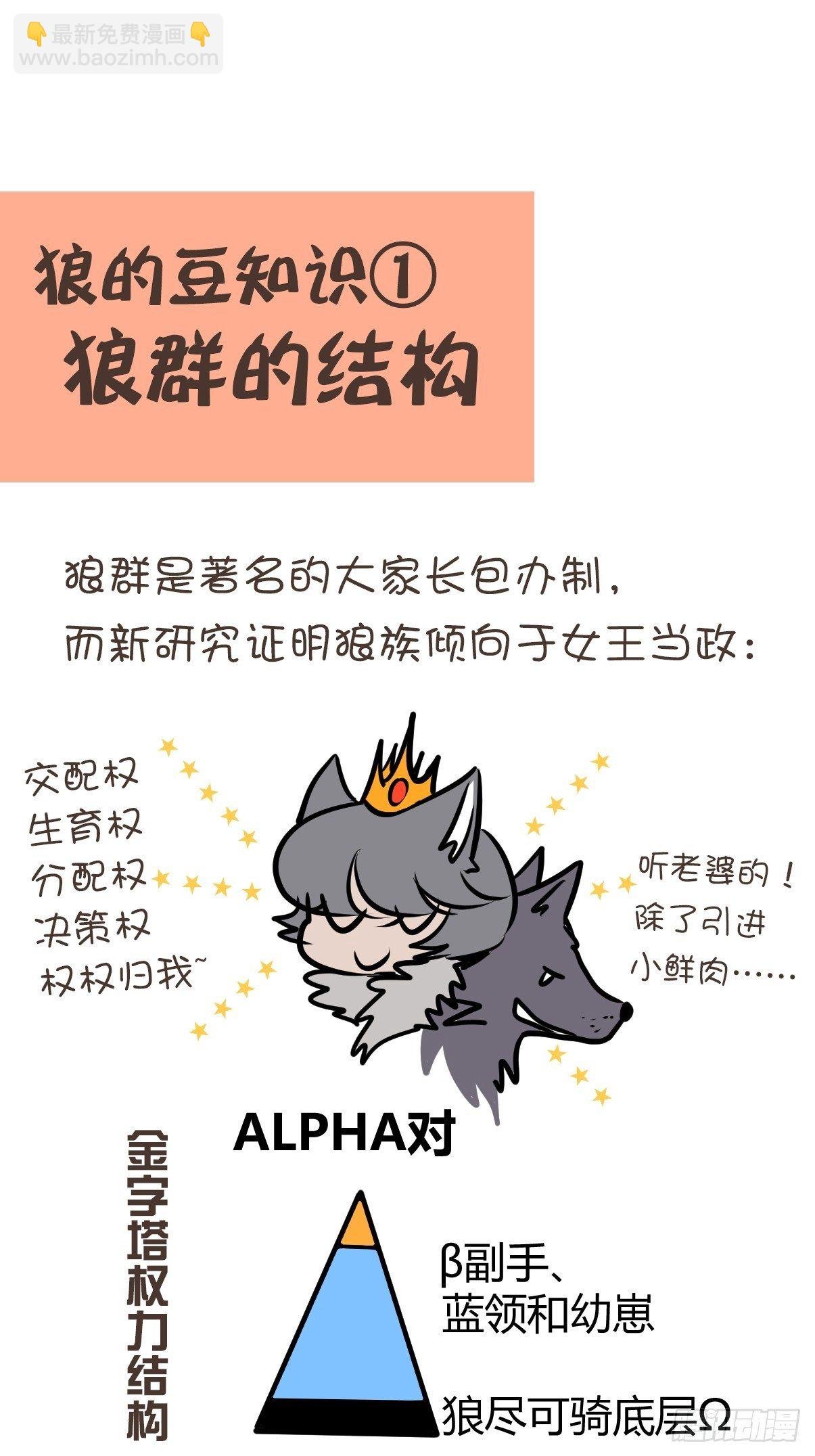 狼传奇：女主角的条件