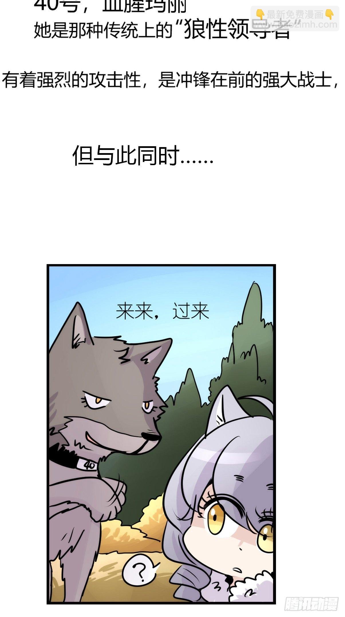 狼传奇：洗牌