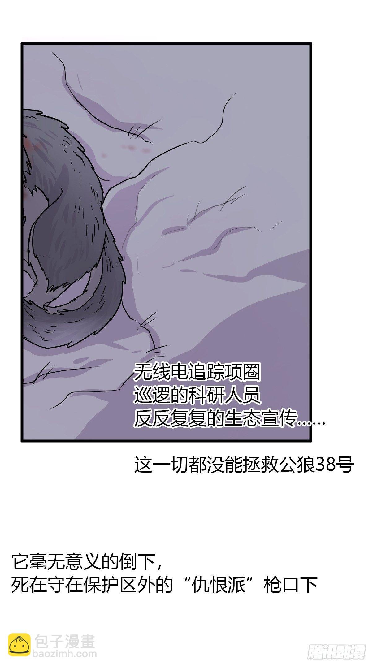 狼传奇：洗牌