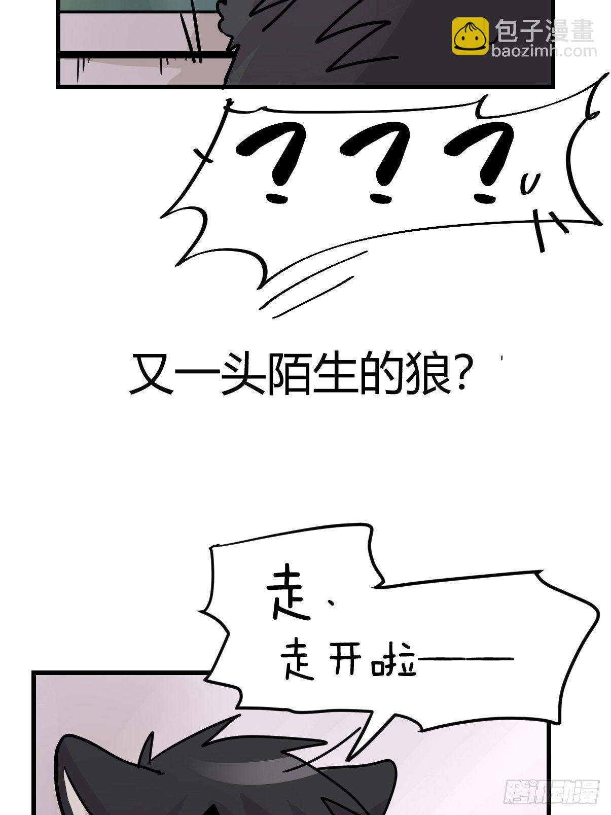 狼传奇:道路分歧