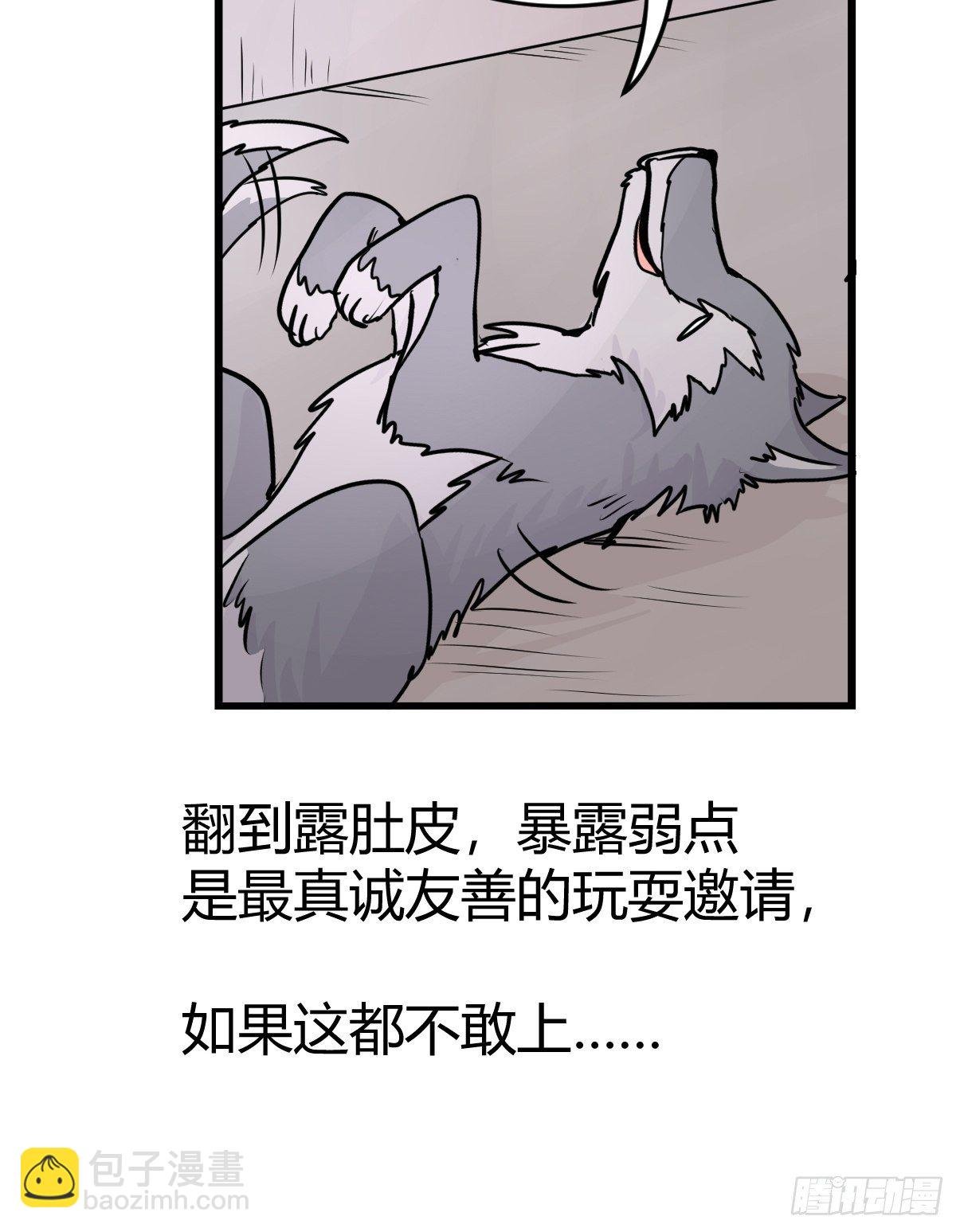 狼传奇:道路分歧