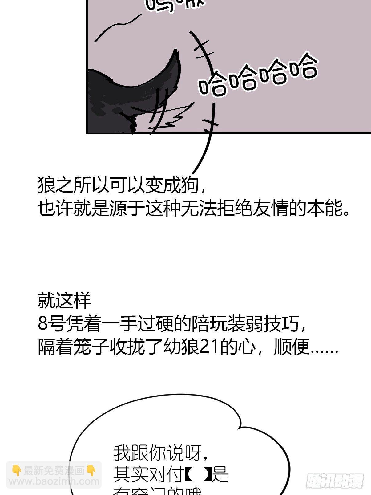 狼传奇:道路分歧