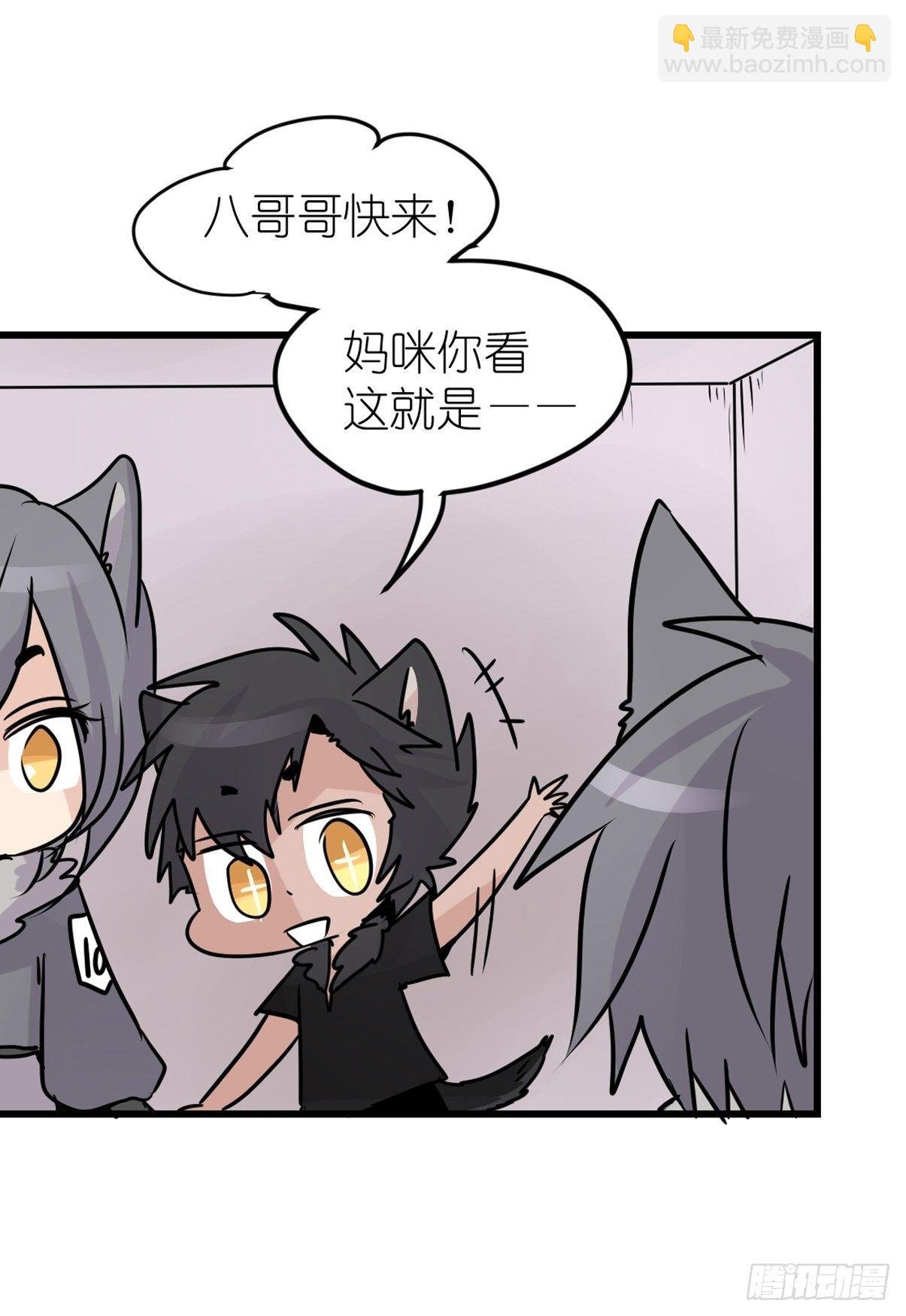 狼传奇:道路分歧