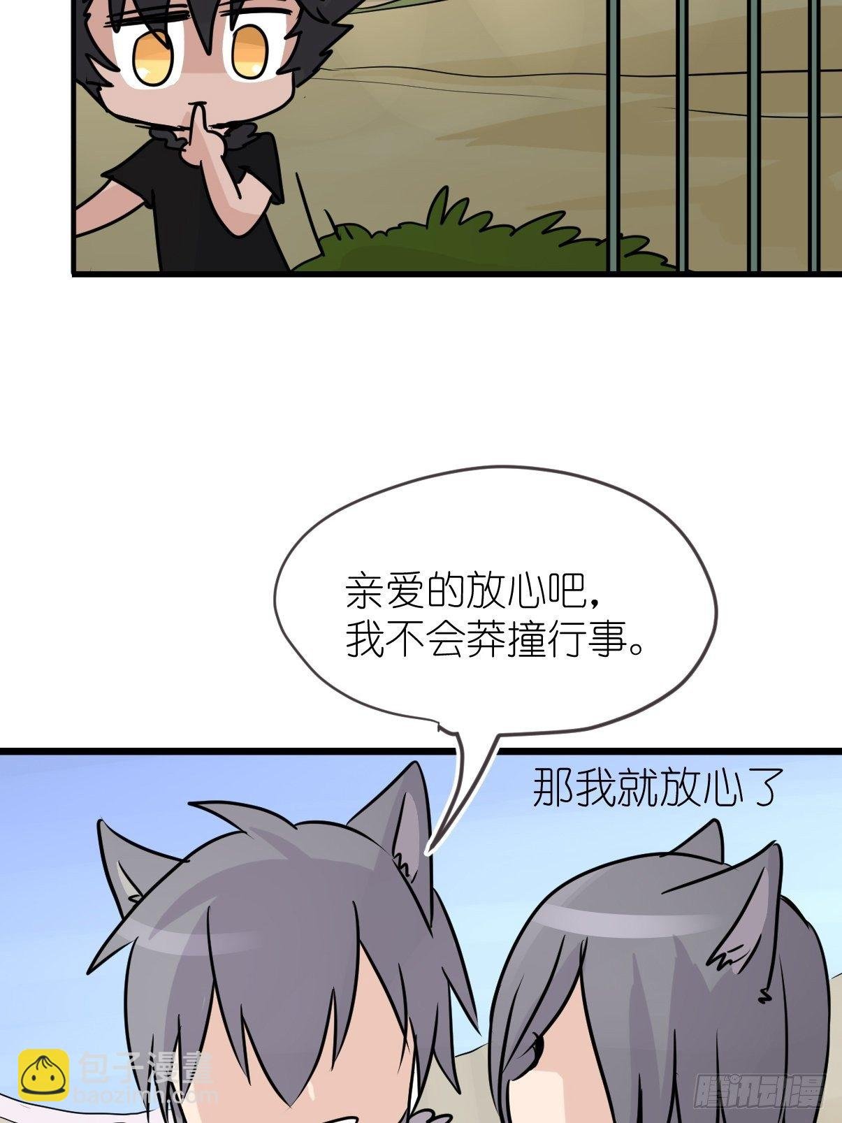 狼传奇:道路分歧