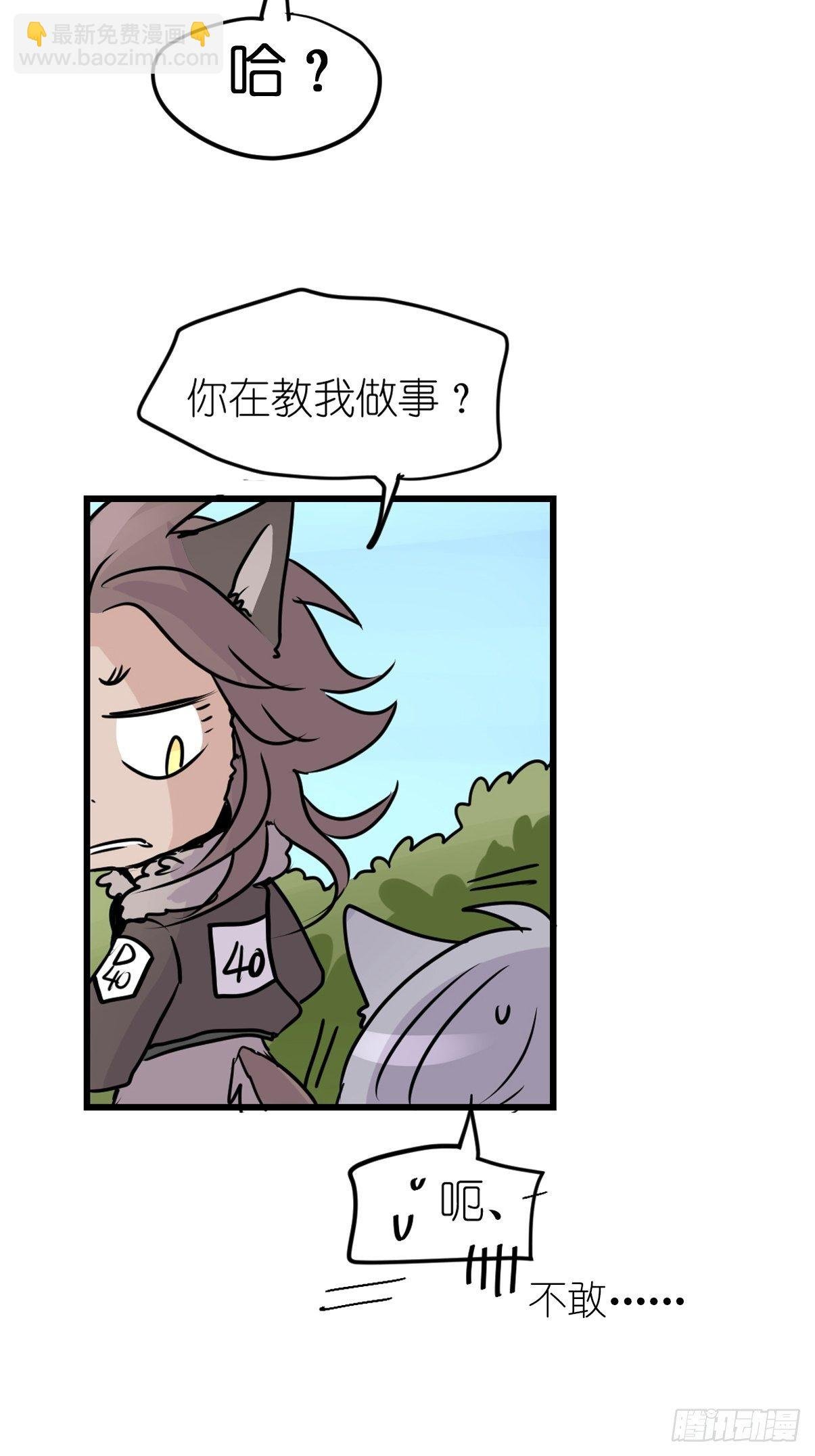 狼传奇:道路分歧
