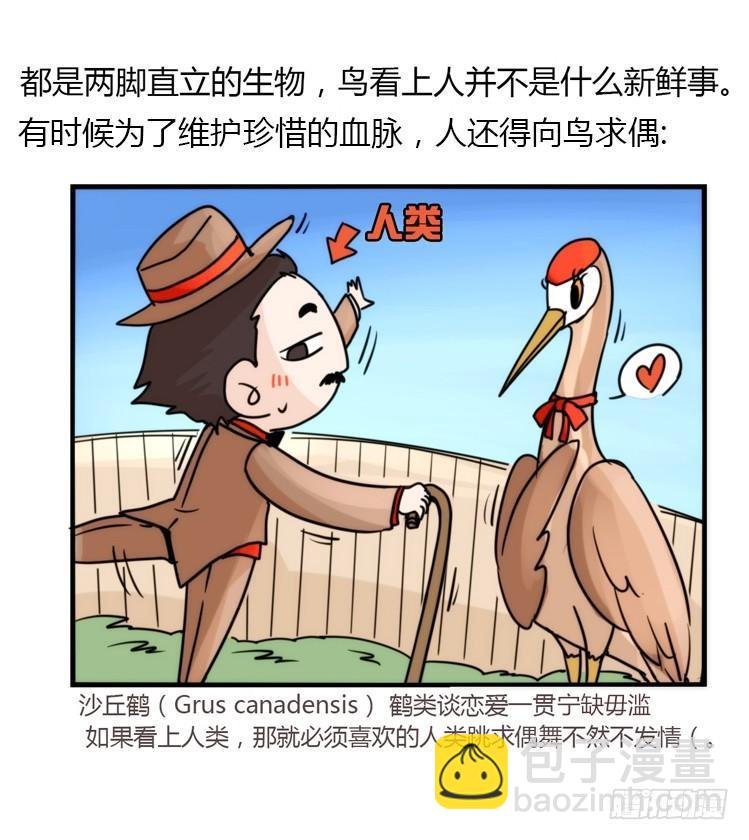 飞吧小少爷：好消息，坏消息。