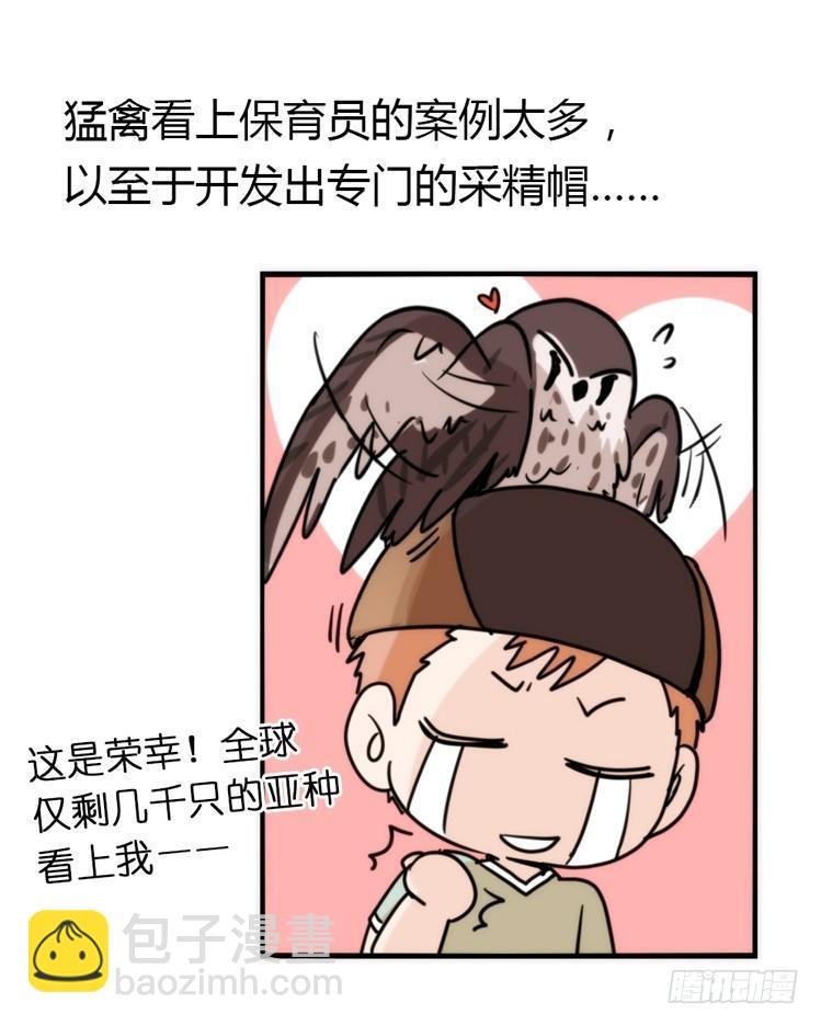 飞吧小少爷：好消息，坏消息。