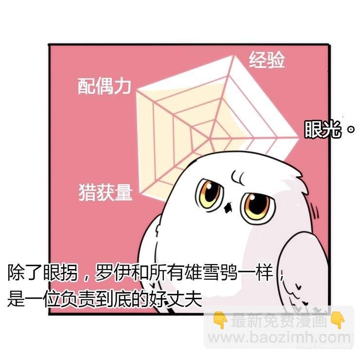 飞吧小少爷：好消息，坏消息。