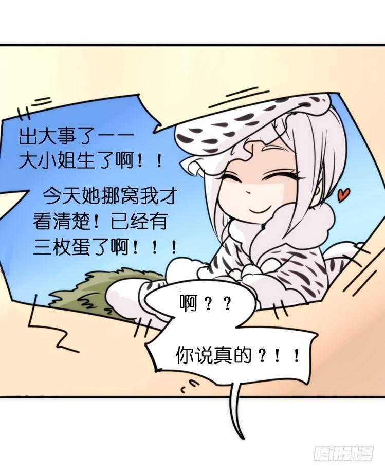 飞吧小少爷：好消息，坏消息。