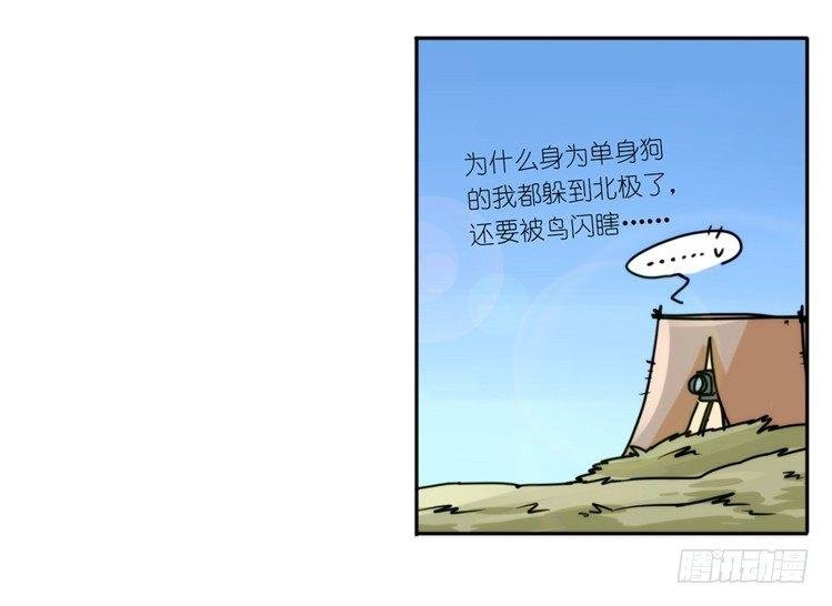 飞吧小少爷：好消息，坏消息。
