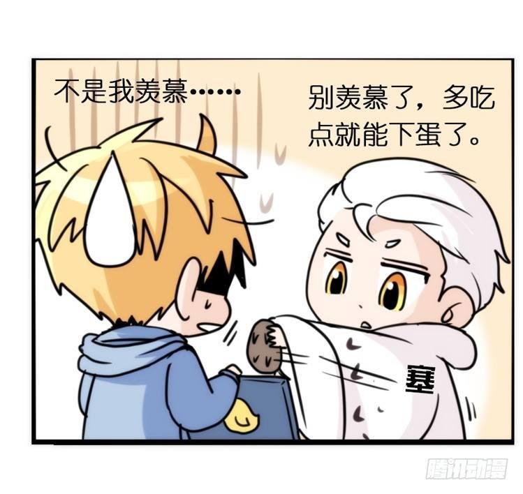 飞吧小少爷：好消息，坏消息。