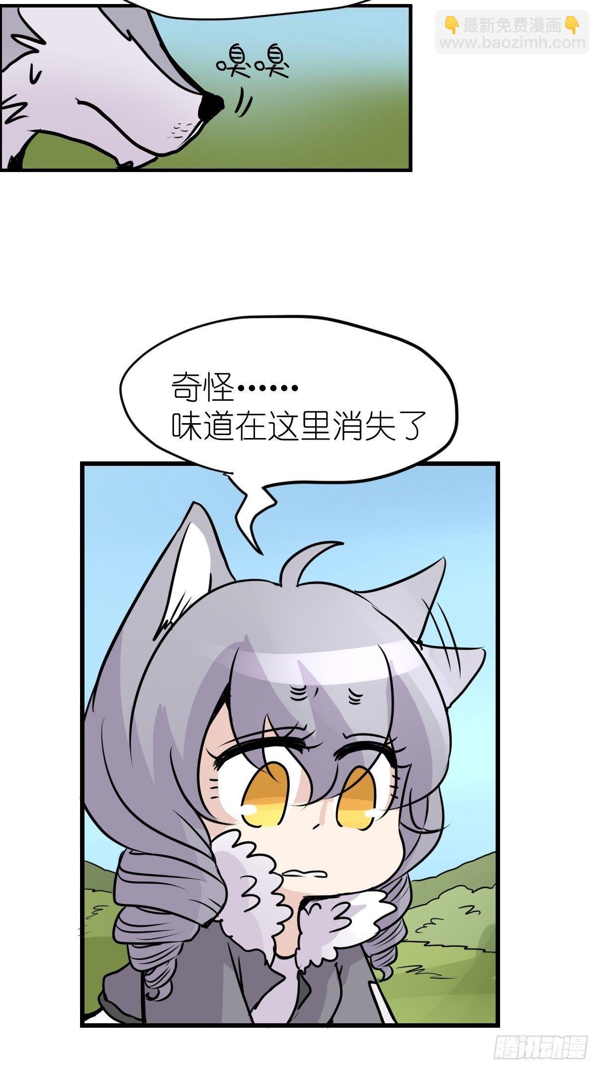 狼传奇：英雄、王者、救世主